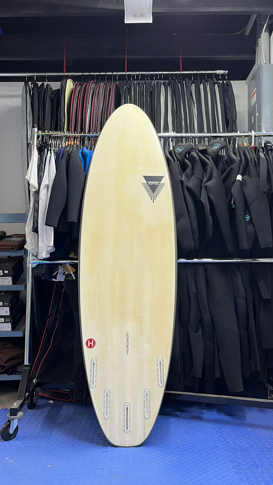 Firewire 6' 4"